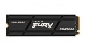Kingston 1000 Renegade PCIe 4.0 NVMe SSD W/Heatsink
