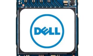 Dell M.2 PCIe NVME Gen 3x4 Class 35 2230 Solid State Drive