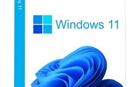 Microsoft Windows11 Home - FPP 64-Bit USB